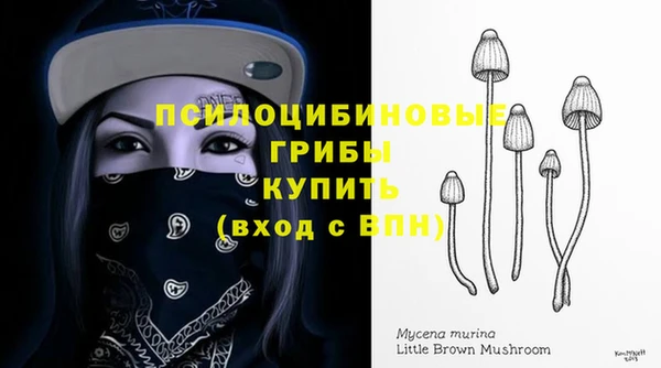 мяу мяу мука Балабаново