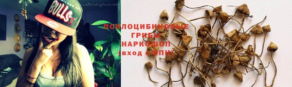 мяу мяу мука Балабаново